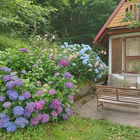 Holiday Home Vesna Brod na Kupi Eksteriør billede