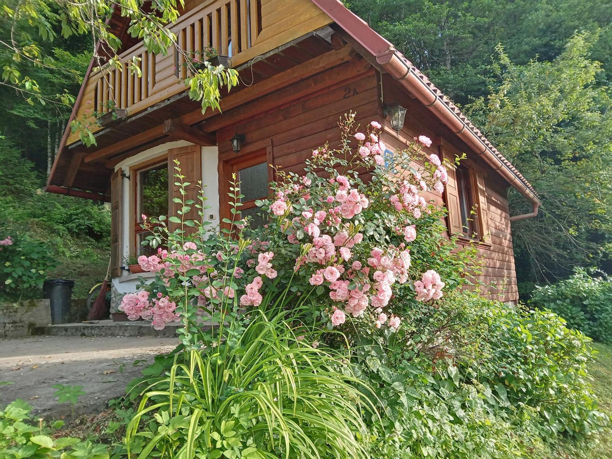 Holiday Home Vesna Brod na Kupi Eksteriør billede