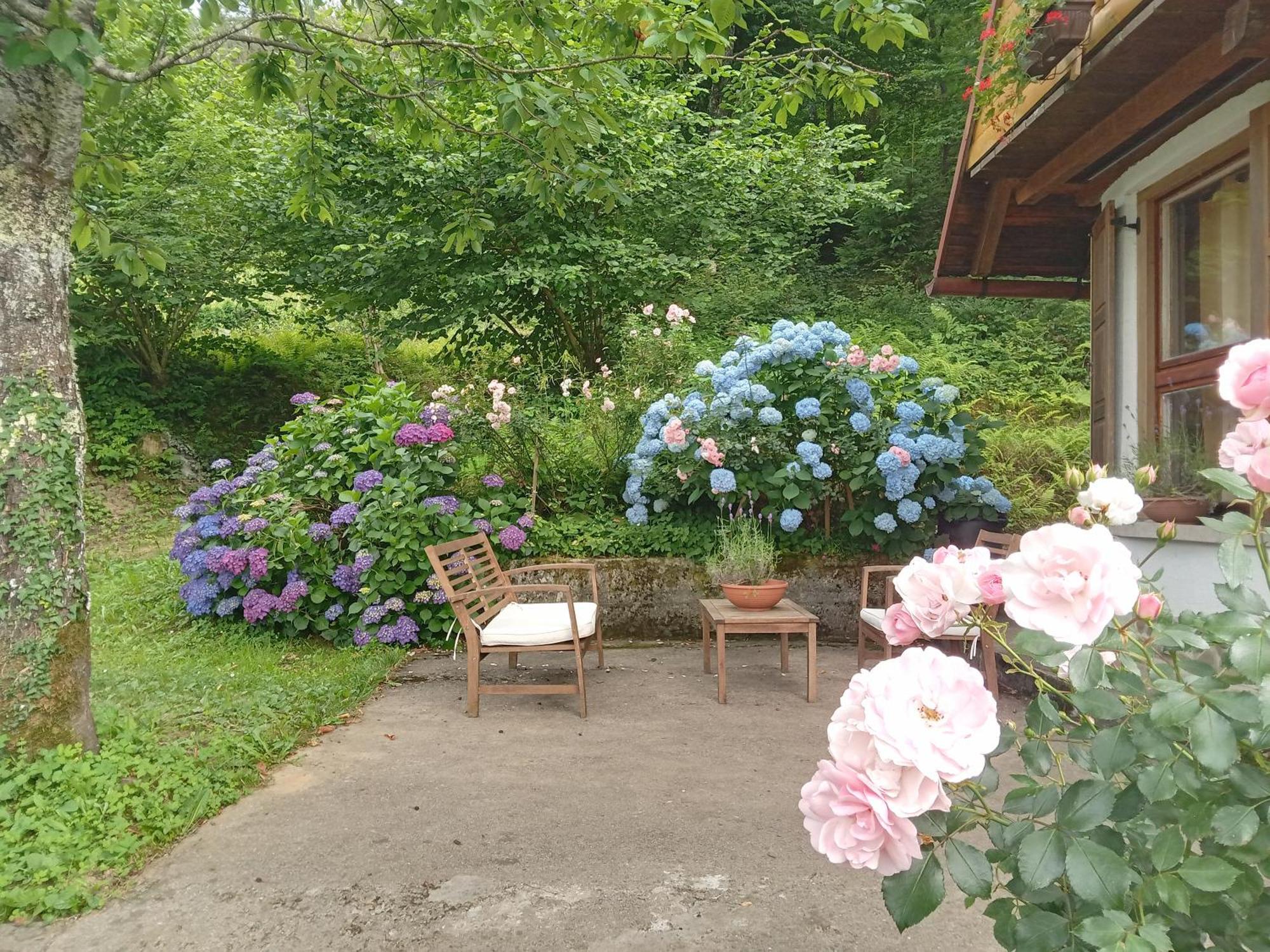 Holiday Home Vesna Brod na Kupi Eksteriør billede