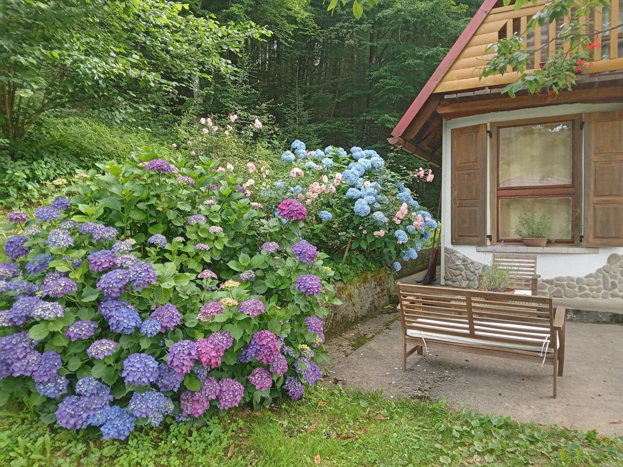 Holiday Home Vesna Brod na Kupi Eksteriør billede